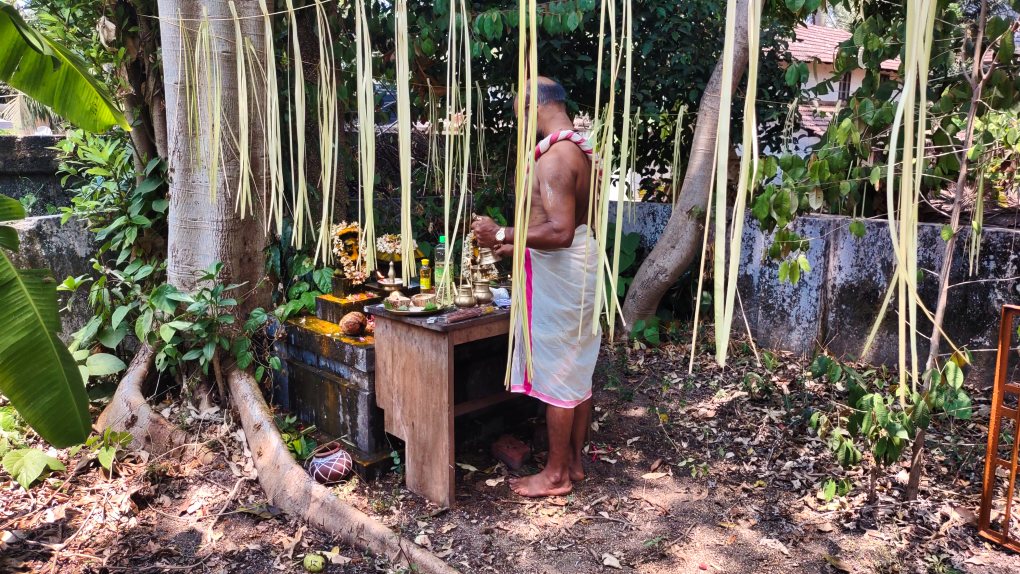 Naga Pooja; uasatish; Thalassery; Ambalavattam Temple;