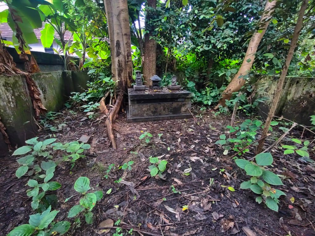 Naga Devas; Ambalavattam Temple; Thalassery; uasatish;